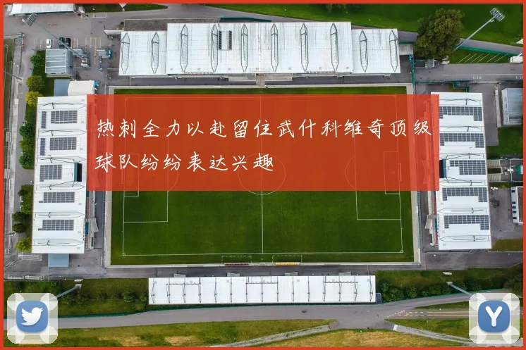热刺全力以赴留住武什科维奇顶级球队纷纷表达兴趣