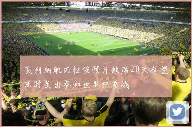 莫利纳肌肉拉伤预计缺席20天有望及时复出参加世界杯首战